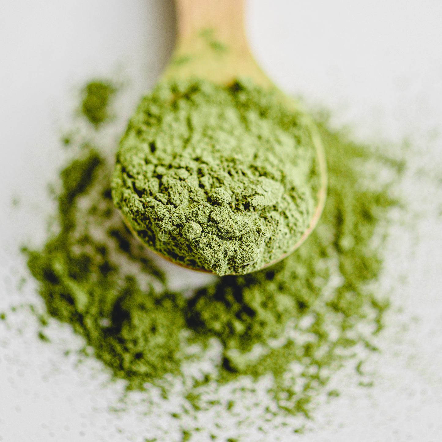 Té Matcha Culinario Orgánico Premium – 50 g