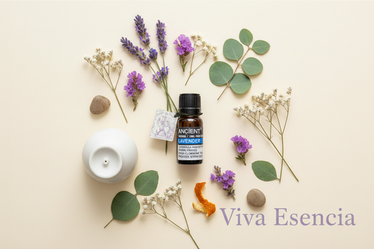 Guía completa de aceites esenciales para principiantes