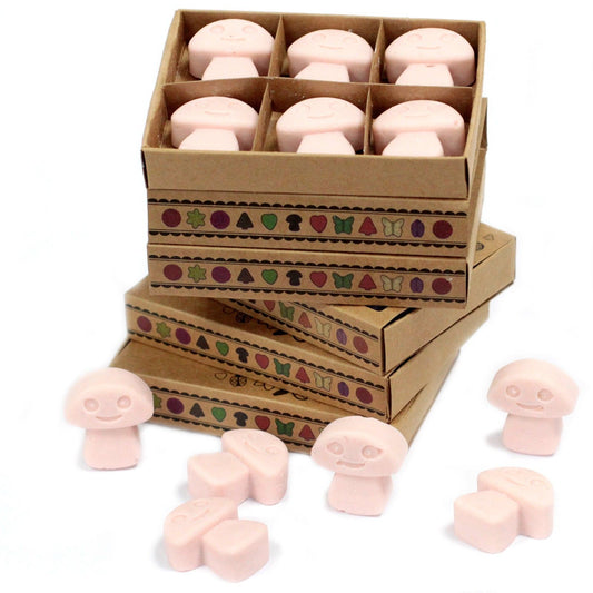 Caja de 6 ceras de soja aromáticas Sándalo – Aroma cálido y amaderado