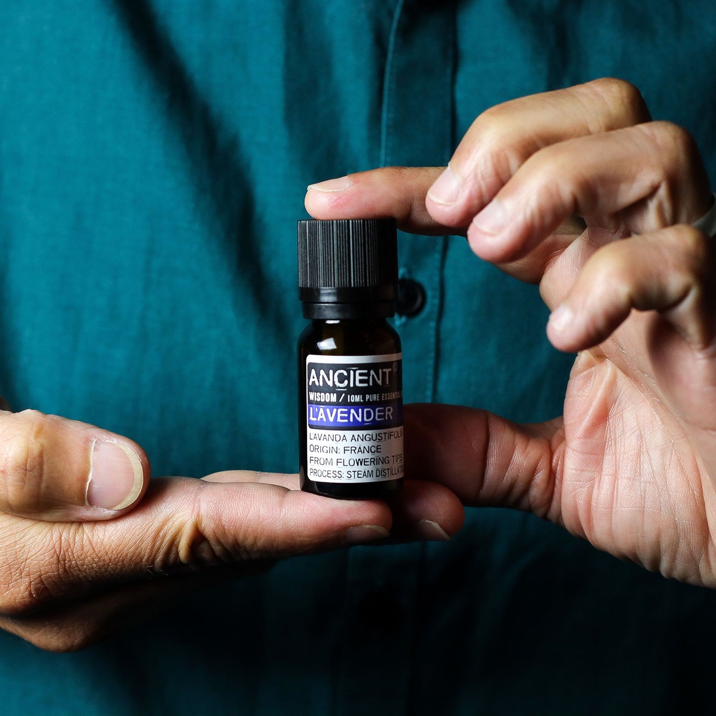 Conjunto de Aceites Esenciales Lavanda, Árbol de Té y Romero – 10 ml