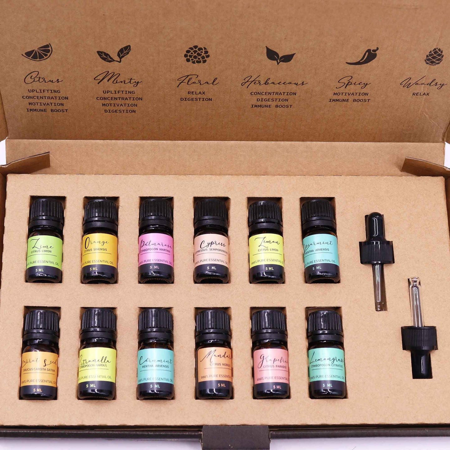 Set de Aceites Esenciales de Aromaterapia 5 ml – verano