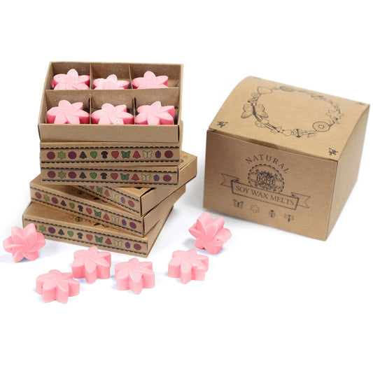 Caja de 6 ceras de soja aromáticas Rosa Clásica