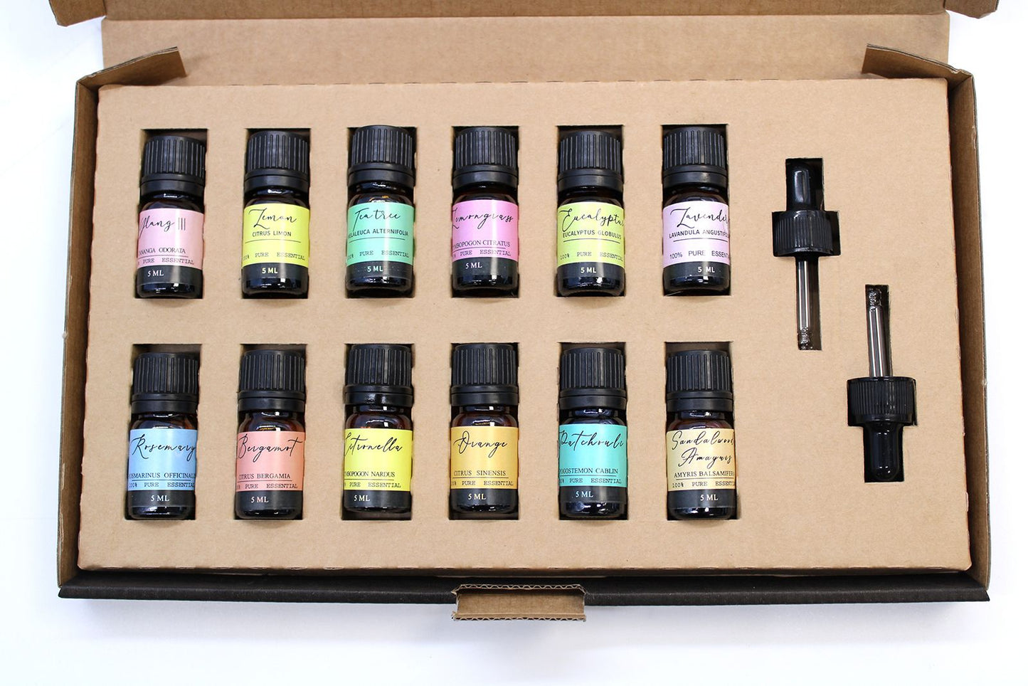 Set de los 12 Aceites Esenciales Más Vendidos-2025