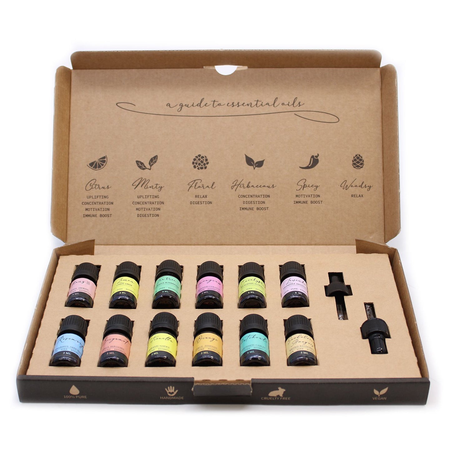 Set de los 12 Aceites Esenciales Más Vendidos-2025