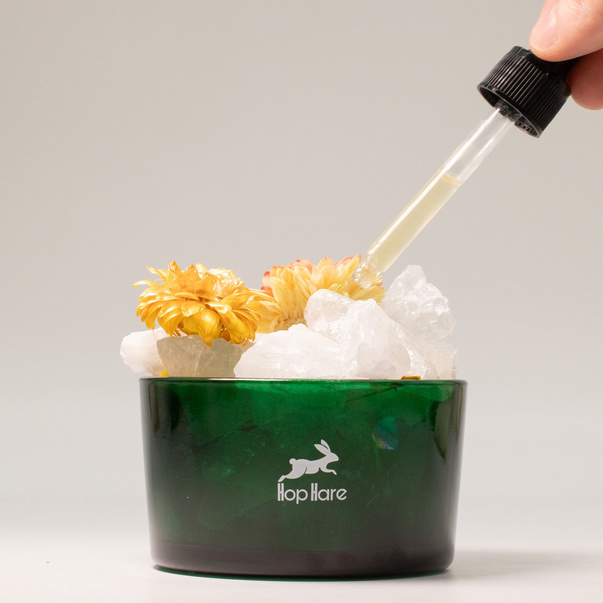 Cristales Difusores Hop Hare – Conjunto Floral El León